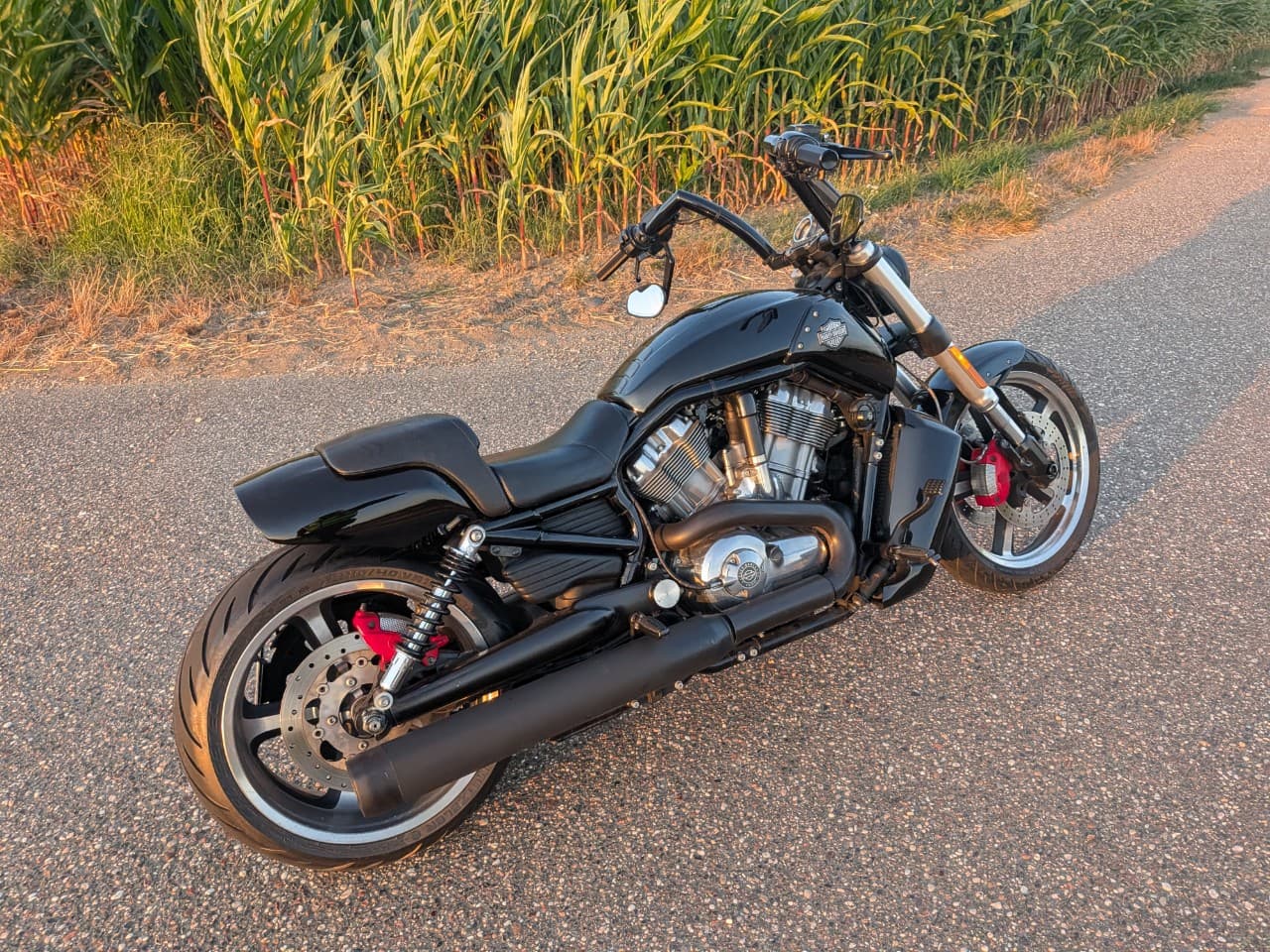 Harley-Davidson VRSCF V-Rod Muscle (08.2017) – Foto 4