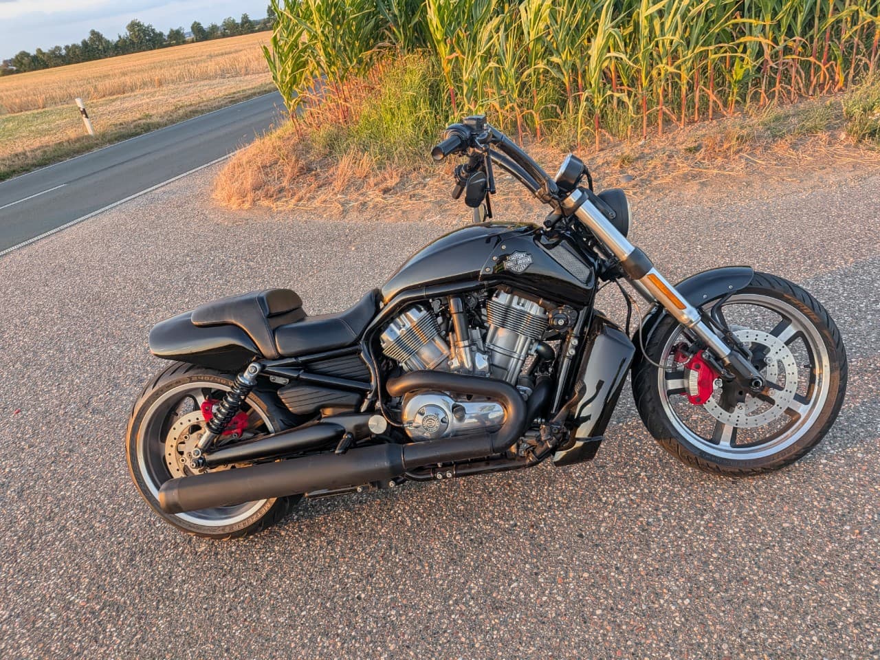 Harley-Davidson VRSCF V-Rod Muscle (08.2017) – Foto 5