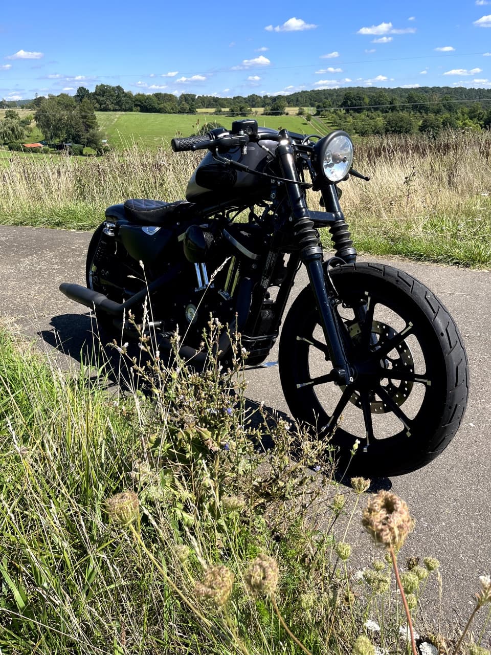 Harley-Davidson XL 883 Iron (09.2015) – Foto 2