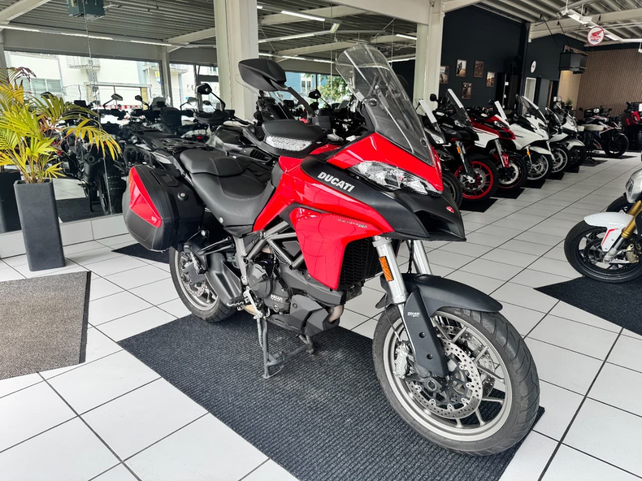 Ducati Multistrada 950 *1.Hand*Koffer* (01.08.2017) – Foto 3